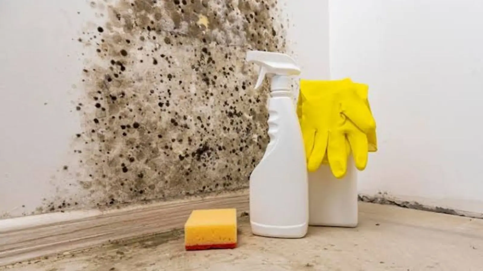 Mold on a wall corner beside cleaning supplies and gloves