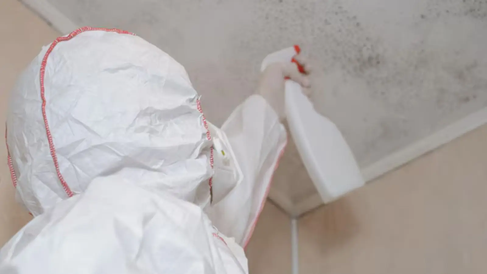 Person in protective gear spraying mold on a ceiling