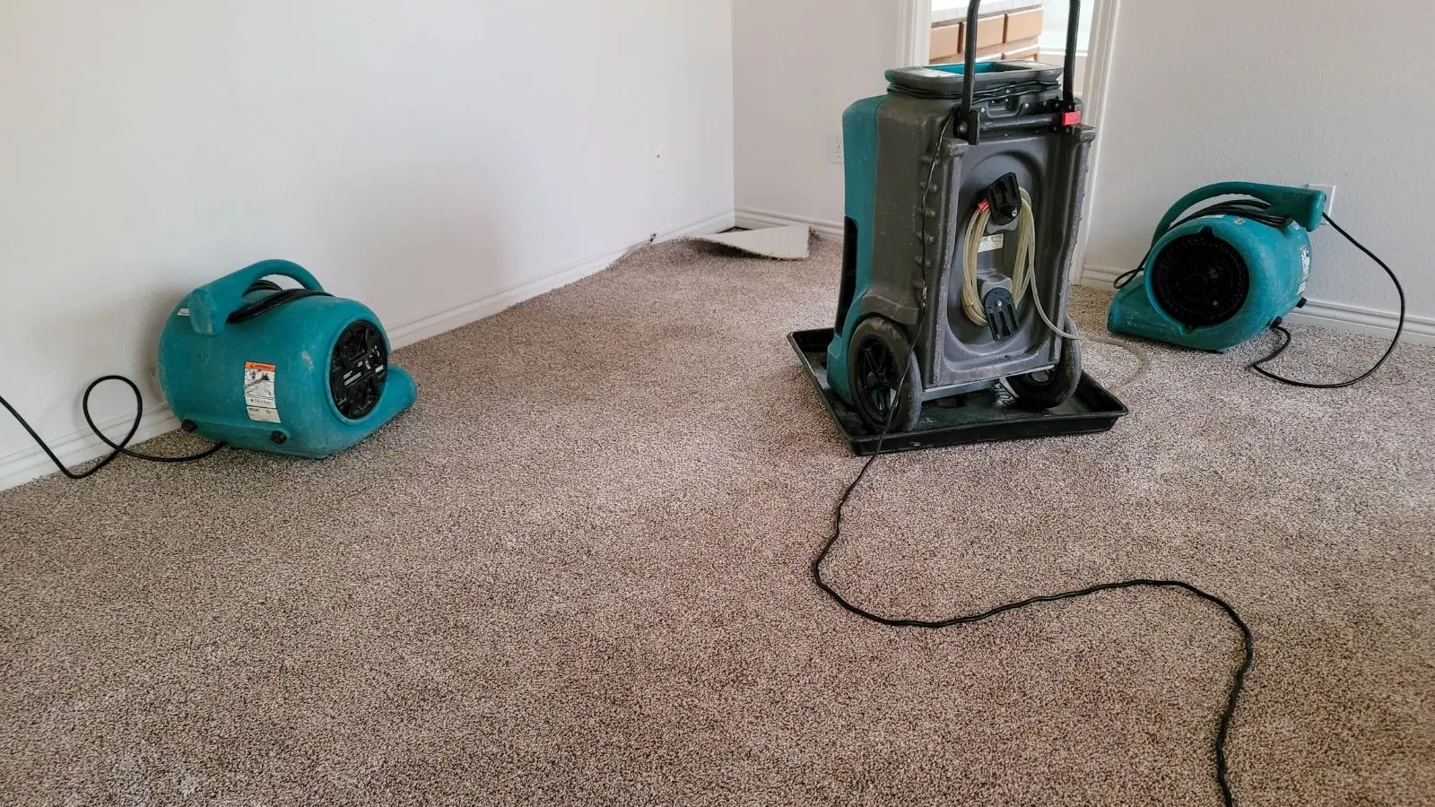 Air movers and a dehumidifier drying a wet carpeted room